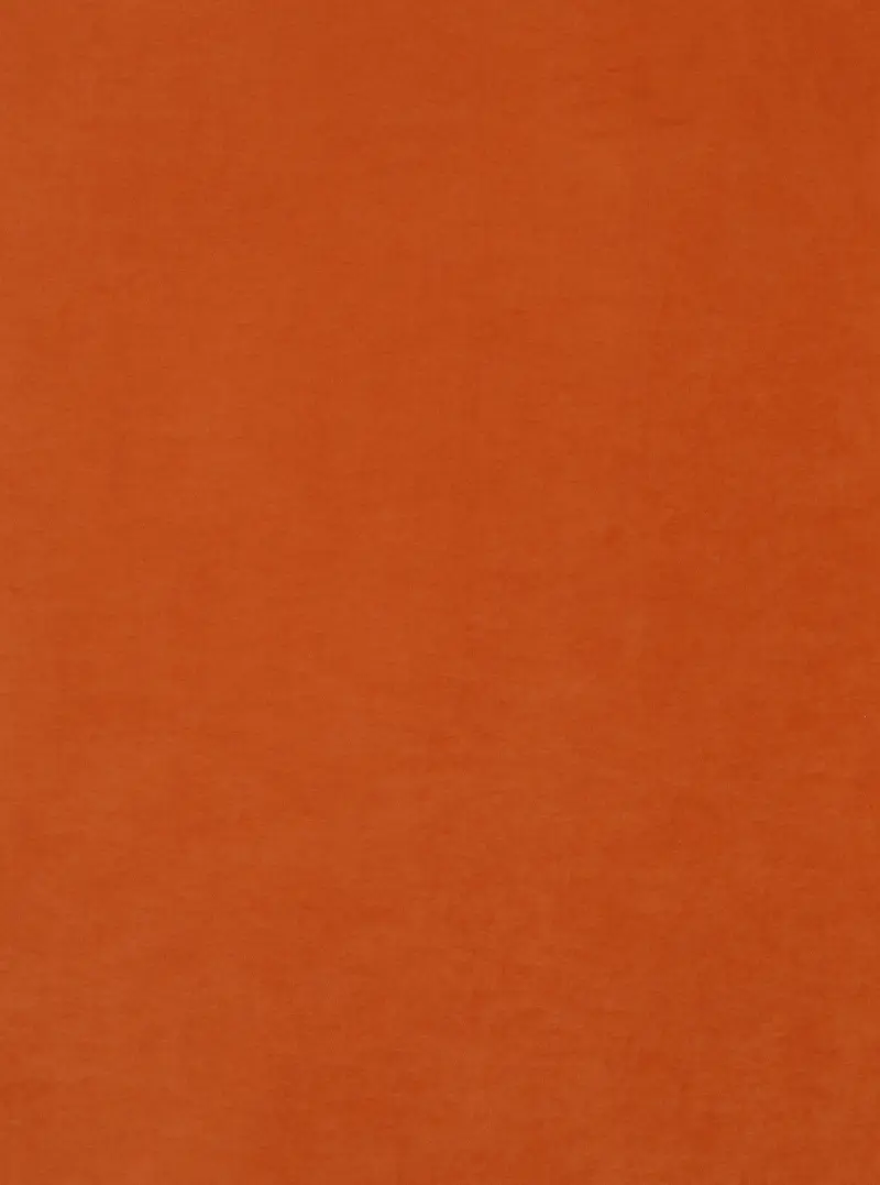 Belvoir Recycled Burnt Orange